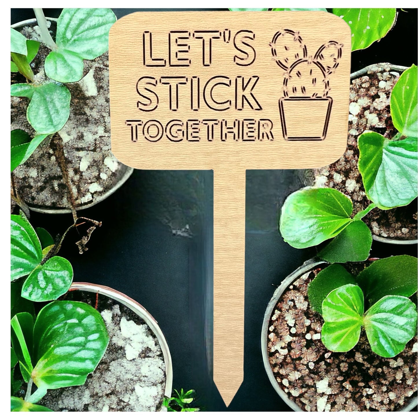 Plant Sticks