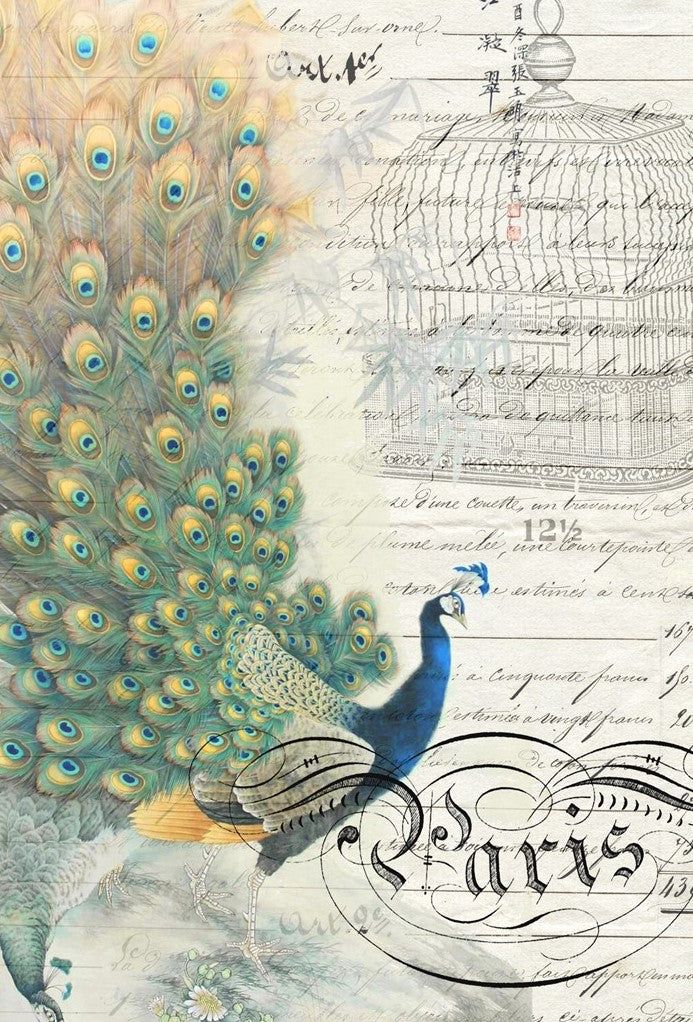 Peacock Ephemera Left